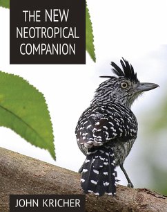 New Neotropical Companion (eBook, ePUB) - Kricher, John