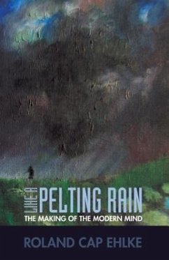 Cover Like a Pelting Rain (eBook, ePUB)