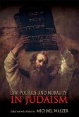 Law, Politics, and Morality in Judaism (eBook, ePUB)