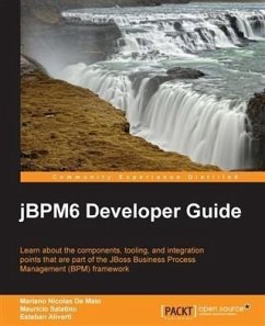 Cover jBPM6 Developer Guide (eBook, PDF)