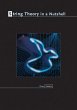 String Theory in a Nutshell (eBook, PDF) - Bild 1