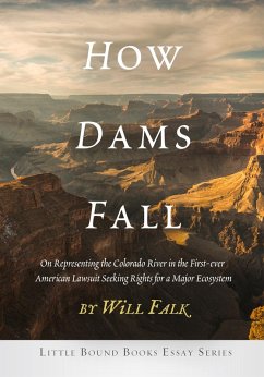 How Dams Fall (eBook, ePUB)