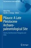 Pilauco: A Late Pleistocene Archaeo-paleontological Site