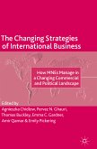 The Changing Strategies of International Business (eBook, PDF)