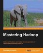 Mastering Hadoop (eBook, PDF) - Bild 1