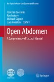 Open Abdomen (eBook, PDF)