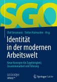 Identität in der modernen Arbeitswelt (eBook, PDF)