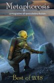 Metaphorosis (eBook, ePUB) Metaphorosis (eBook, ePUB)