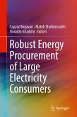 Robust Energy Procurement of Large Electricity Consumers (eBook, PDF)