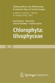 Freshwater Flora of Central Europe, Vol 13: Chlorophyta: Ulvophyceae (Süßwasserflora von Mitteleuropa, Bd. 13: Chlorophyta: Ulvophyceae) (eBook, PDF)