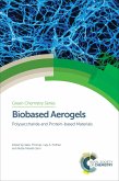 Biobased Aerogels (eBook, ePUB)
