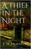 A Thief in the Night (eBook, ePUB)