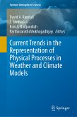 Current Trends in the Representation of Physical Processes in Weather and Climate Models (eBook, PDF)