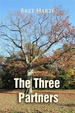 Cover Three Partners (eBook, PDF)