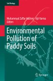 Environmental Pollution of Paddy Soils (eBook, PDF)