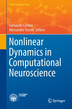 Nonlinear Dynamics in Computational Neuroscience (eBook, PDF)