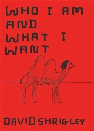 Who I Am and What I Want (eBook, PDF) Who I Am and What I Want (eBook, PDF)