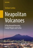 Neapolitan Volcanoes (eBook, PDF)