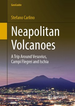 Neapolitan Volcanoes (eBook, PDF) - Carlino, Stefano
