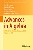 Advances in Algebra (eBook, PDF)