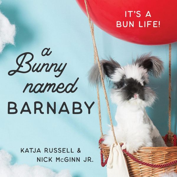 A Bunny Named Barnaby (eBook, ePUB)