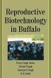 Reproductive Biotechnology in Buffalo... - Bild 1