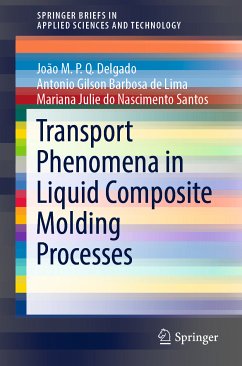 Transport Phenomena in Liquid Composite Molding Processes (eBook, PDF) - Delgado, João M.P.Q.; Barbosa de Lima, Antonio Gilson; do Nascimento Santos, Mariana Julie
