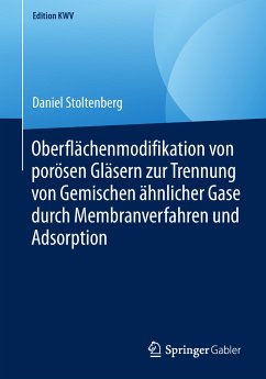 Oberflächenmodifikation von porösen Gläsern zur Trennung von Gemischen ähnlicher Gase durch Membranverfahren und Adsorption (eBook, PDF) - Stoltenberg, Daniel