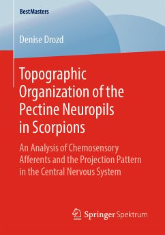 Topographic Organization of the Pectine Neuropils in Scorpions (eBook, PDF) - Drozd, Denise