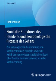 Sinnhafte Strukturen des Handelns und neurobiologische Prozesse des Sehens (eBook, PDF) - Behrend, Olaf