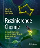 Faszinierende Chemie (eBook, PDF)