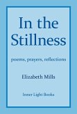 In The Stillness (eBook, ePUB)