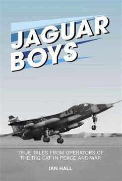 Cover Jaguar Boys (eBook, PDF)
