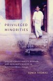 Privileged Minorities (eBook, ePUB)
