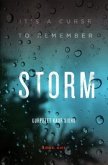 STORM (eBook, ePUB)