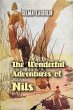 Wonderful Adventures of Nils (eBook,... - Bild 1
