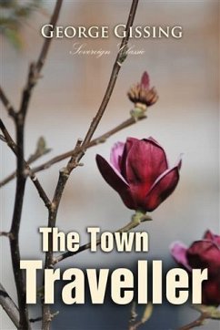 Cover Town Traveller (eBook, PDF)