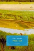 Virgin Soil (eBook, PDF)