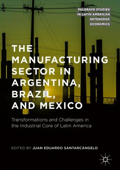 The Manufacturing Sector in Argentina, Brazil, and Mexico (eBook, PDF)