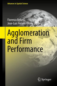 Agglomeration and Firm Performance (eBook, PDF)