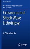 Extracorporeal Shock Wave Lithotripsy (eBook, PDF)