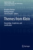 Themes from Klein (eBook, PDF)