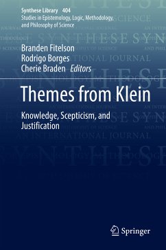Themes from Klein (eBook, PDF)