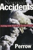 Normal Accidents (eBook, ePUB)