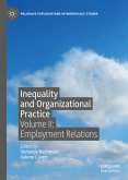 Inequality and Organizational Practice (eBook, PDF)