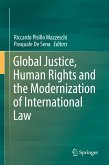 Global Justice, Human Rights and the Modernization of International Law (eBook, PDF)
