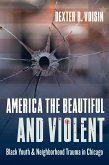 America the Beautiful and Violent (eBook, ePUB)