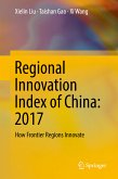 Regional Innovation Index of China: 2017 (eBook, PDF)