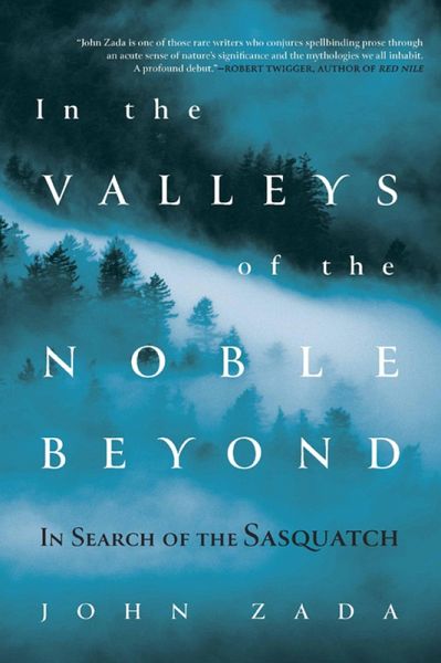 In the Valleys of the Noble Beyond (eBook, ePUB)