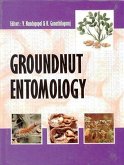 Groundnut Entomology (eBook, ePUB)